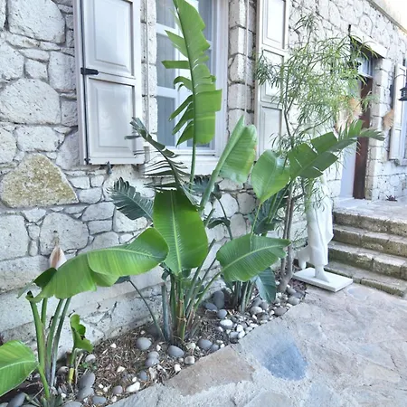 B House * ألاتشاتي
